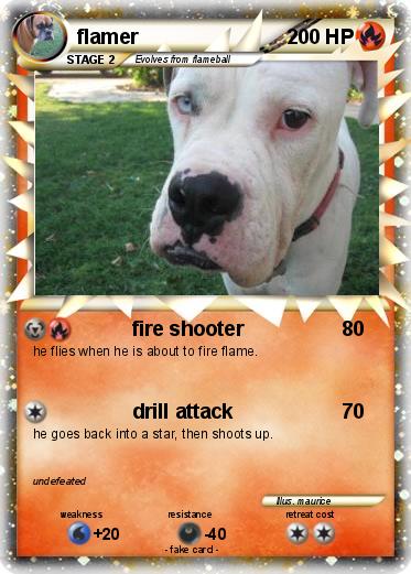 Pokemon flamer
