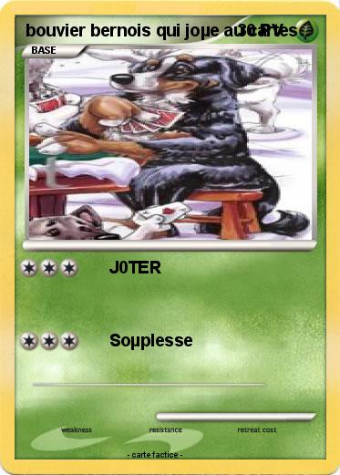 Pokemon bouvier bernois qui joµe au cartes