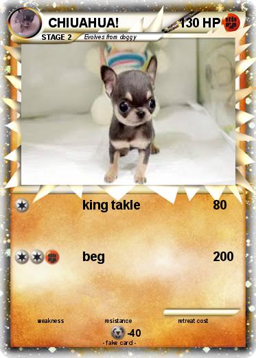 Pokemon CHIUAHUA!