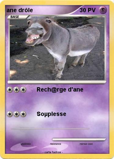 Pokemon ane drôle