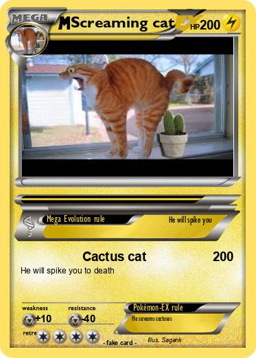 Pokemon Screaming cat