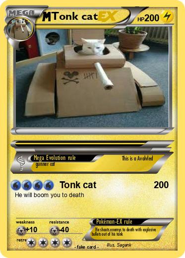 Pokemon Tonk cat