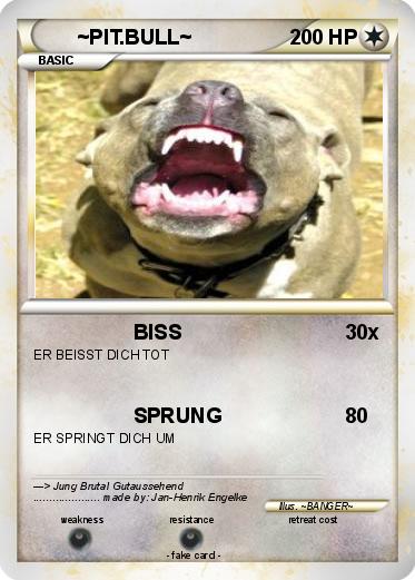 Pokemon ~PIT.BULL~