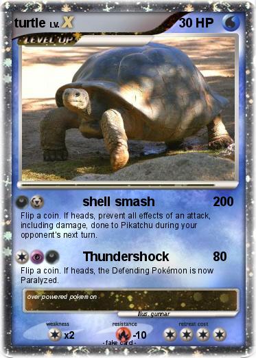 Pokemon turtle