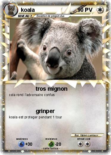 Pokemon koala