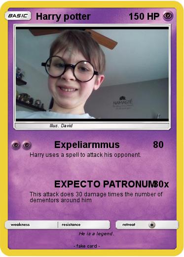 Pokemon Harry potter