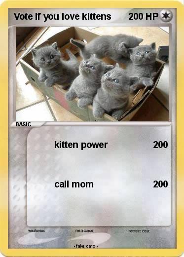 Pokemon Vote if you love kittens