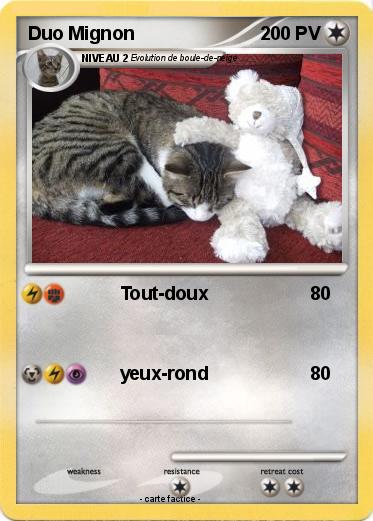 Pokemon Duo Mignon