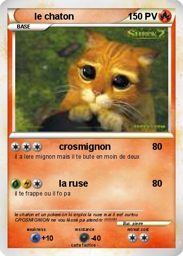 Pokemon le chaton