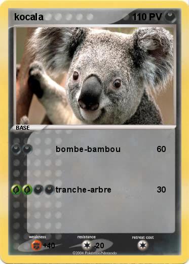 Pokemon kocala