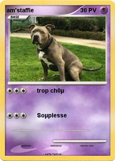 Pokemon am'staffie