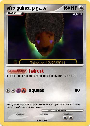 Pokemon afro guinea pig