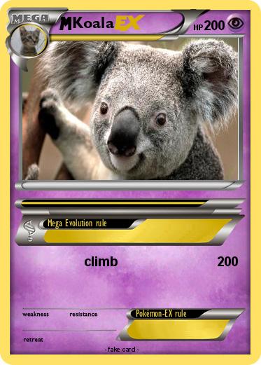 Pokemon Koala
