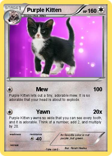 Pokemon Purple Kitten