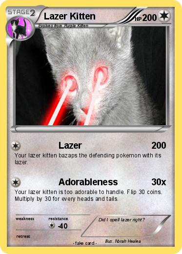 Pokemon Lazer Kitten