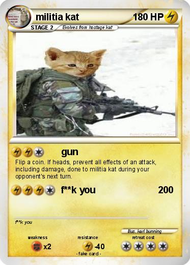 Pokemon militia kat