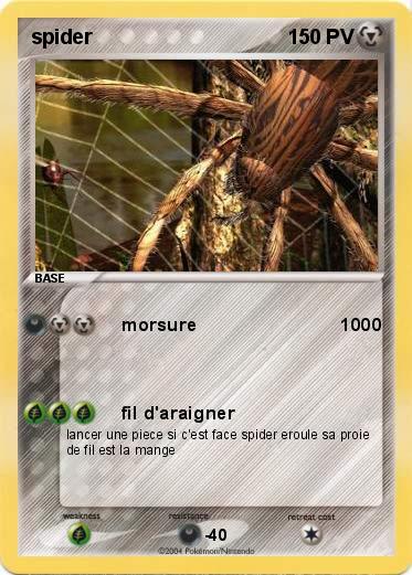 Pokemon spider