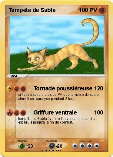 Pokemon Tempête de Sable