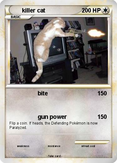 Pokemon killer cat