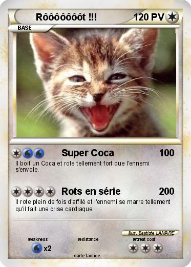 Pokemon Rôôôôôôôt !!!