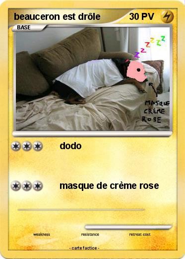 Pokemon beauceron est drôle