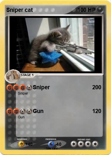 Pokemon Sniper cat