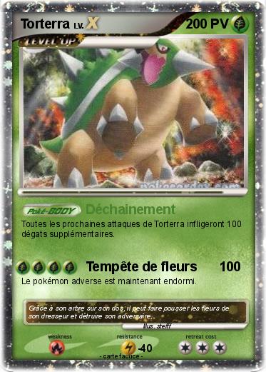 Pokemon Torterra