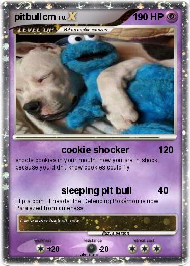 Pokemon pitbullcm