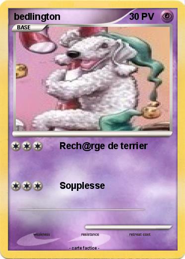 Pokemon bedlington