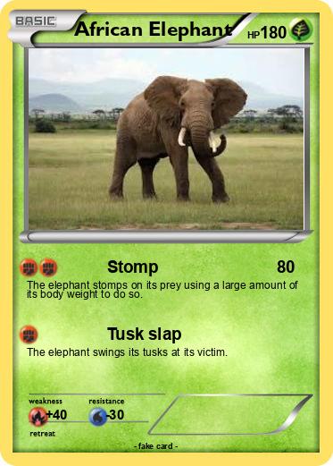 Pokemon African Elephant