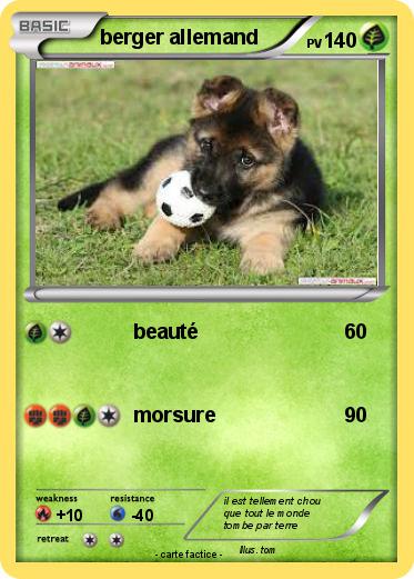 Pokemon berger allemand
