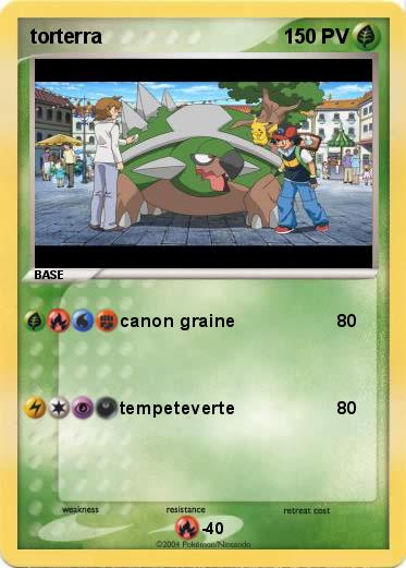 Pokemon torterra