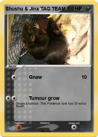 Pokemon Shushu & Jinx TAG TEAM