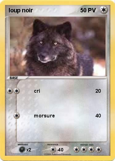 Pokemon loup noir