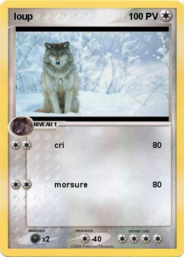 Pokemon loup 