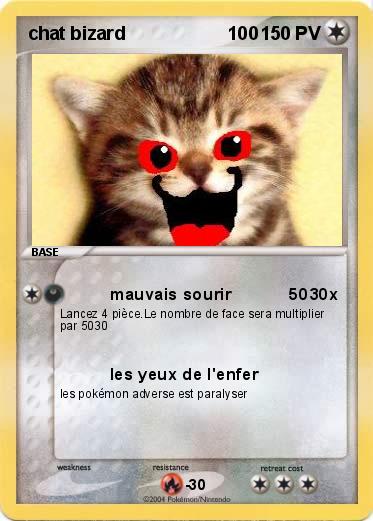 Pokemon chat bizard                    100