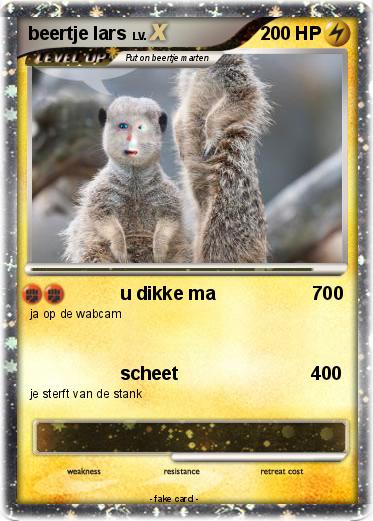 Pokemon beertje lars