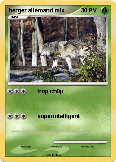 Pokemon berger allemand mix
