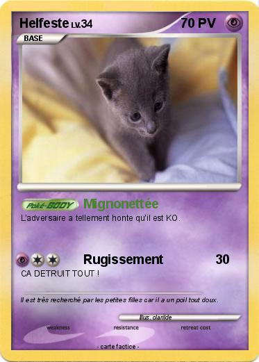 Pokemon Helfeste