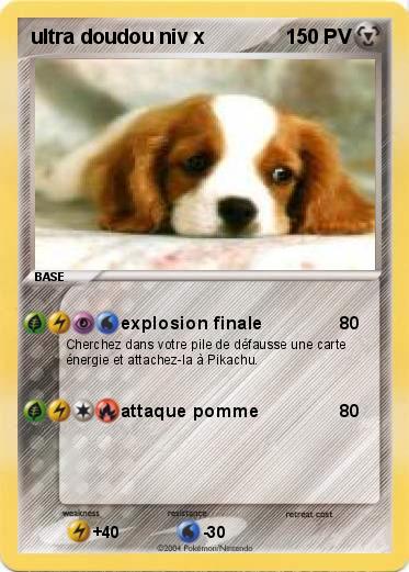 Pokemon ultra doudou niv x