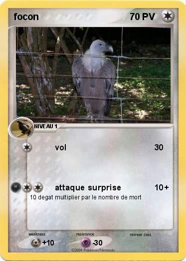 Pokemon focon