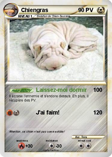 Pokemon Chiengras
