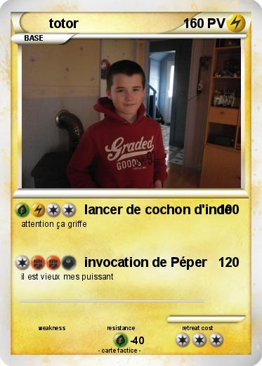 Pokemon totor