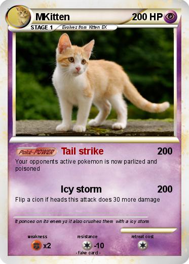 Pokemon MKitten