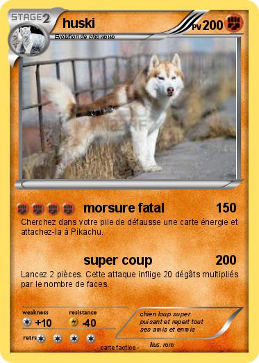 Pokemon huski
