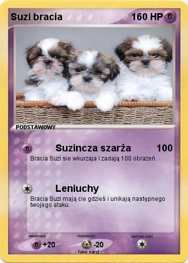 Pokemon Suzi bracia