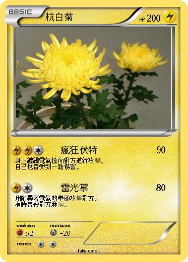Pokemon 杭白菊