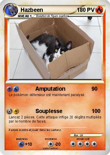 Pokemon Hazbeen