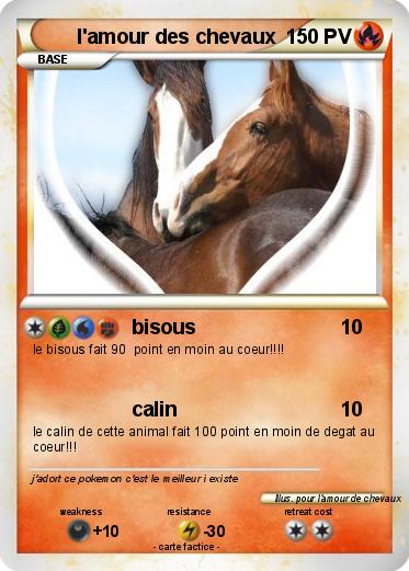 Pokemon l'amour des chevaux