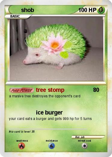 Pokemon shob